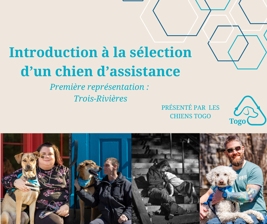 Conférence : Introduction à la sélection d’un chien d’assistance + Tote Bag TOGO Exclusif