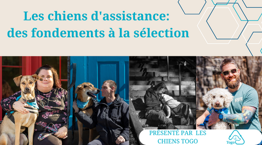 Conférence : Introduction à la sélection d’un chien d’assistance
